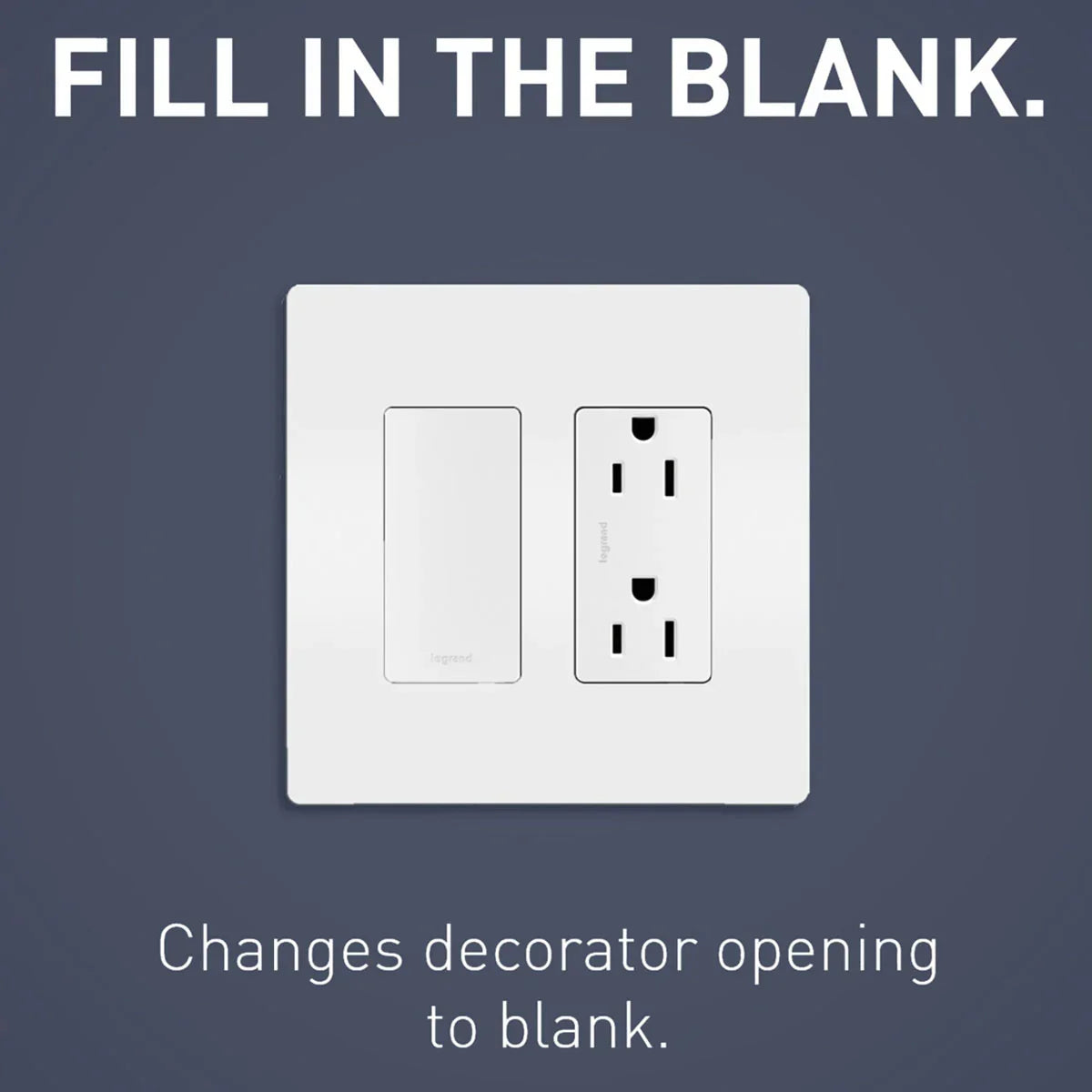 radiant Blank Decorator Wall Plate Insert, White - Bees Lighting