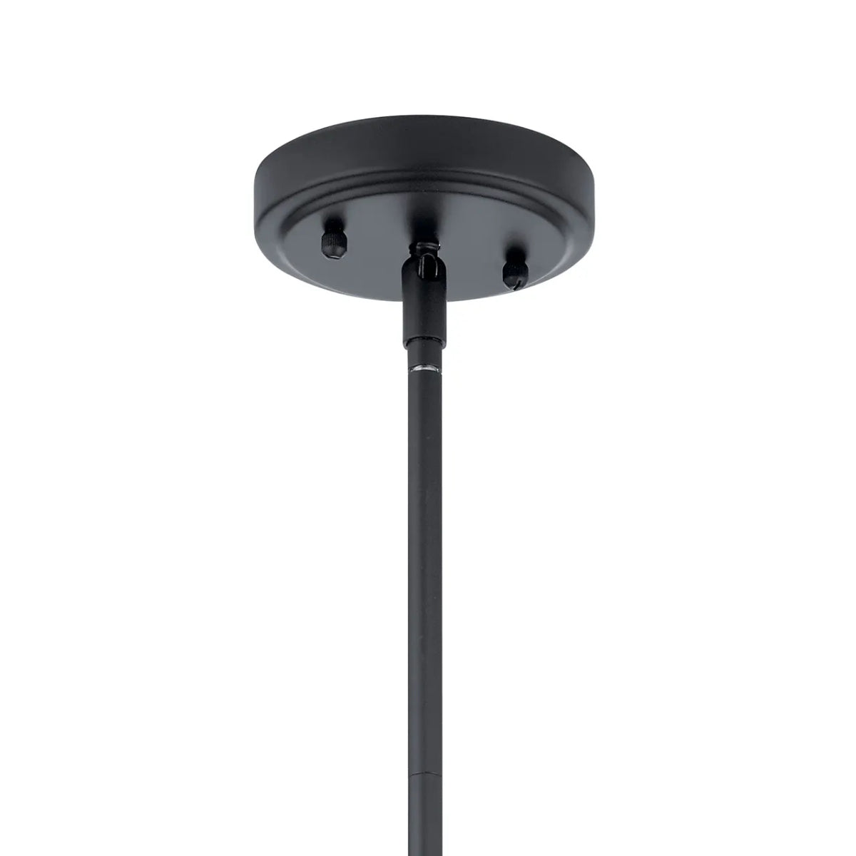 Everly 18" 1-Light Mini Pendant Light with Clear Glass, Black Finish - Bees Lighting