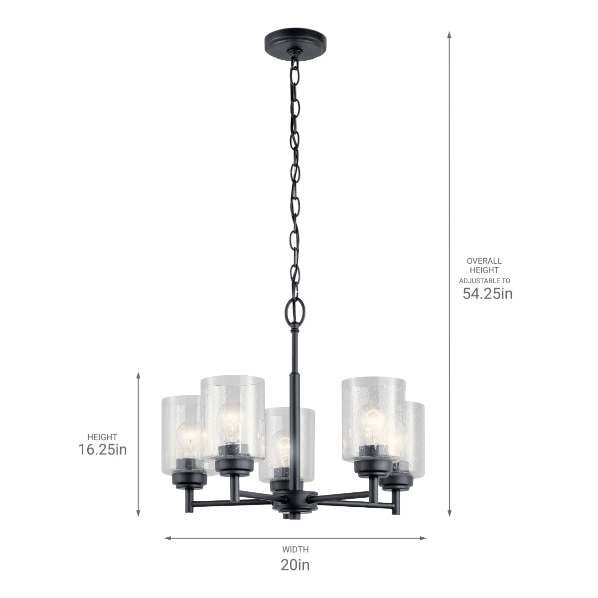 Winslow 20" 5-Light Chandelier, Black Finish - Bees Lighting