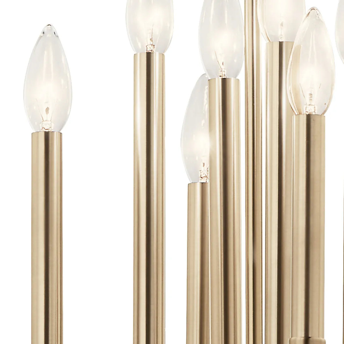 Eisley 50" 8-Light Pendant Light, Black and Champagne Bronze Finish - Bees Lighting