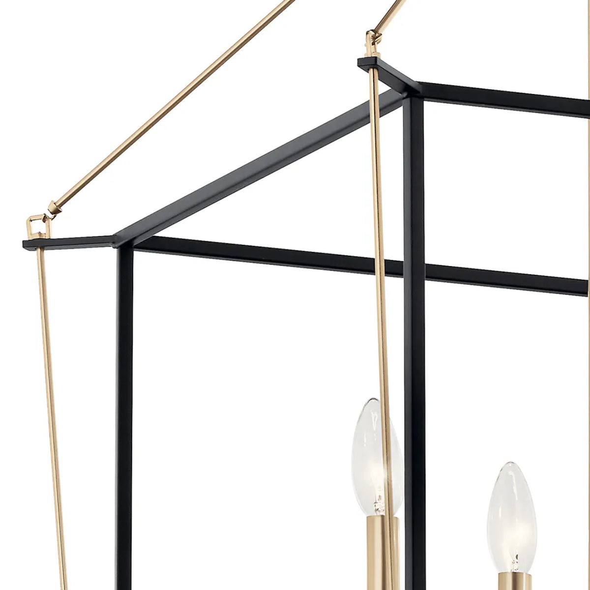 Eisley 50" 8-Light Pendant Light, Black and Champagne Bronze Finish - Bees Lighting