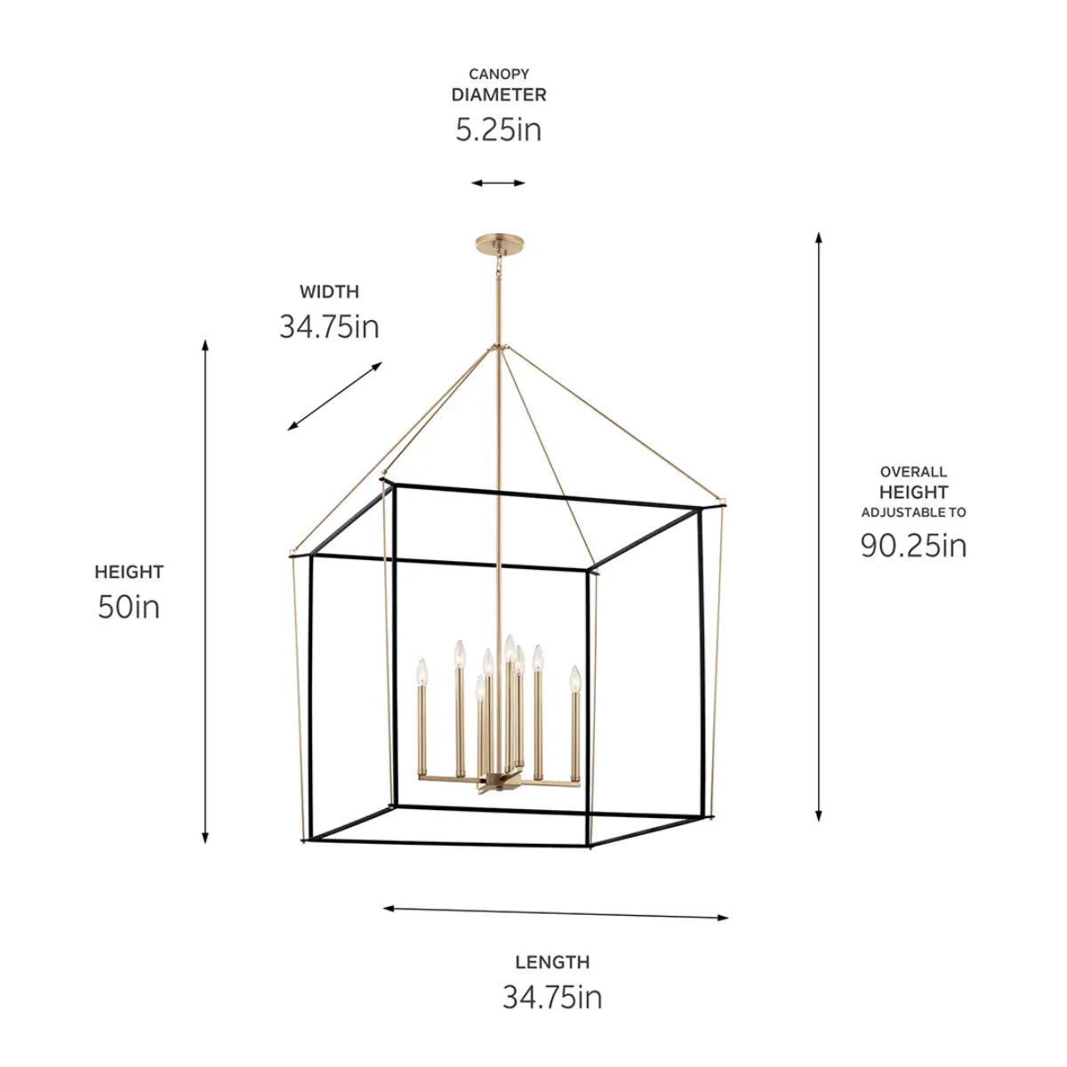 Eisley 50" 8-Light Pendant Light, Black and Champagne Bronze Finish - Bees Lighting