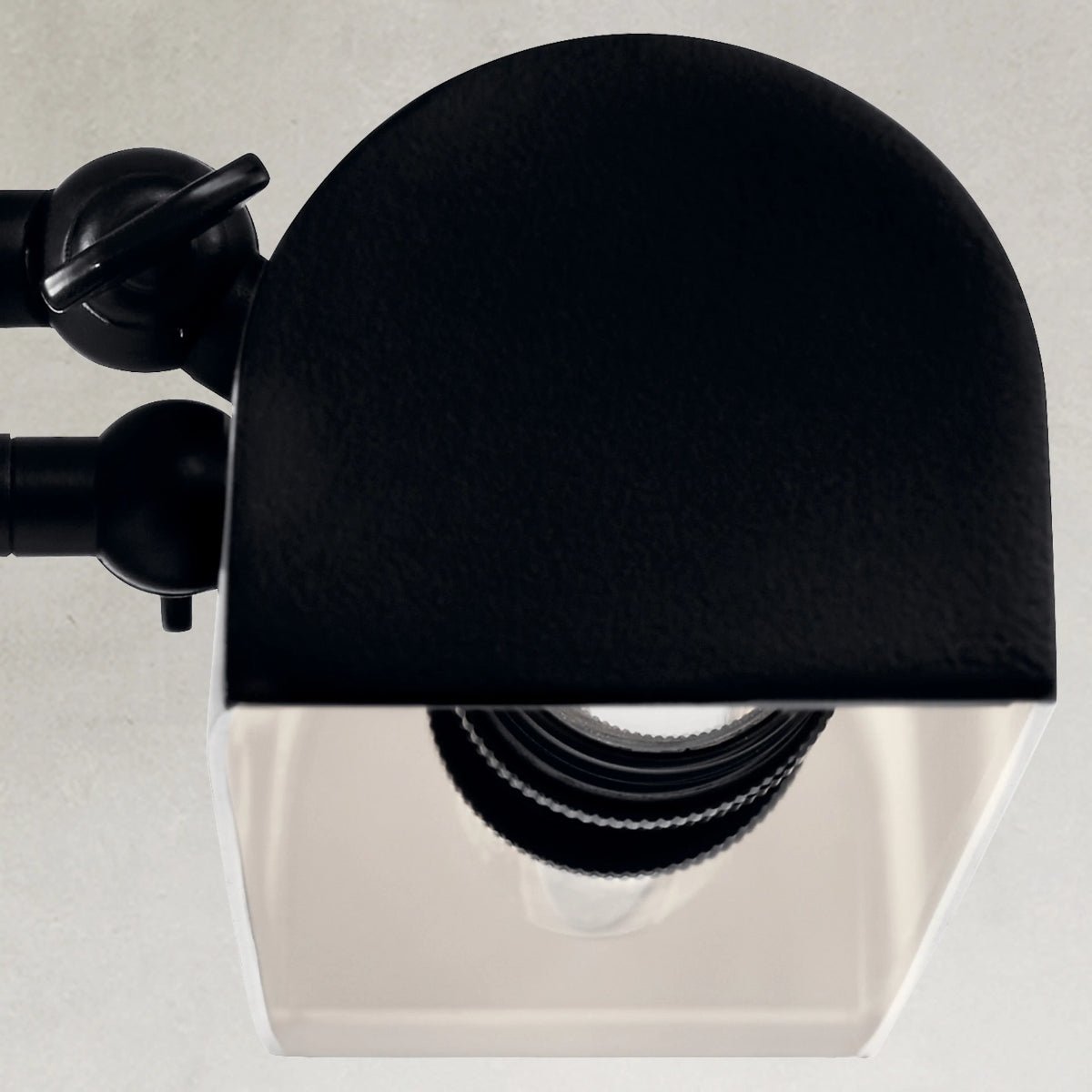 Carston 18" 2-Lights Picture Light, Black Finish - Bees Lighting