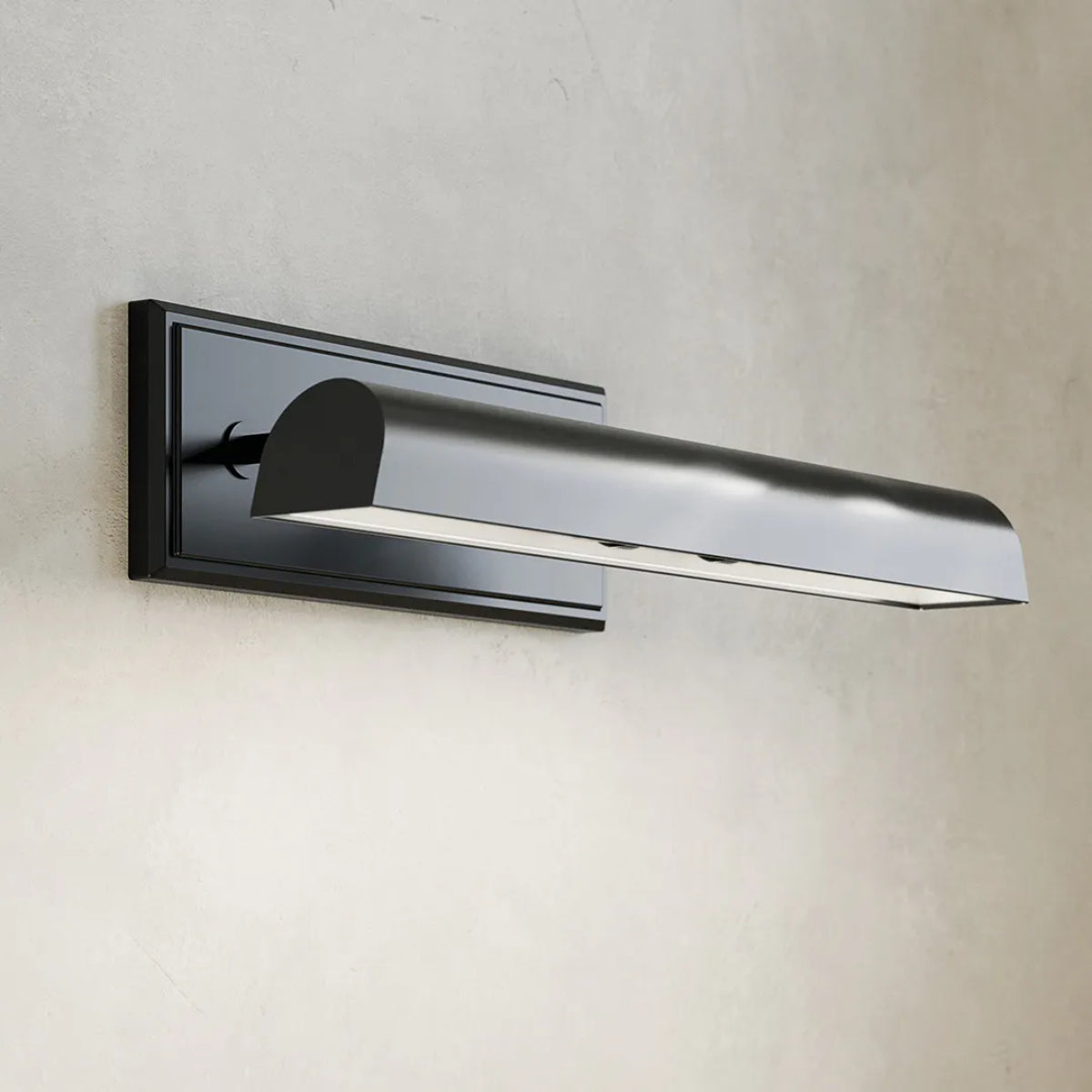 Carston 18" 2-Lights Picture Light, Black Finish - Bees Lighting