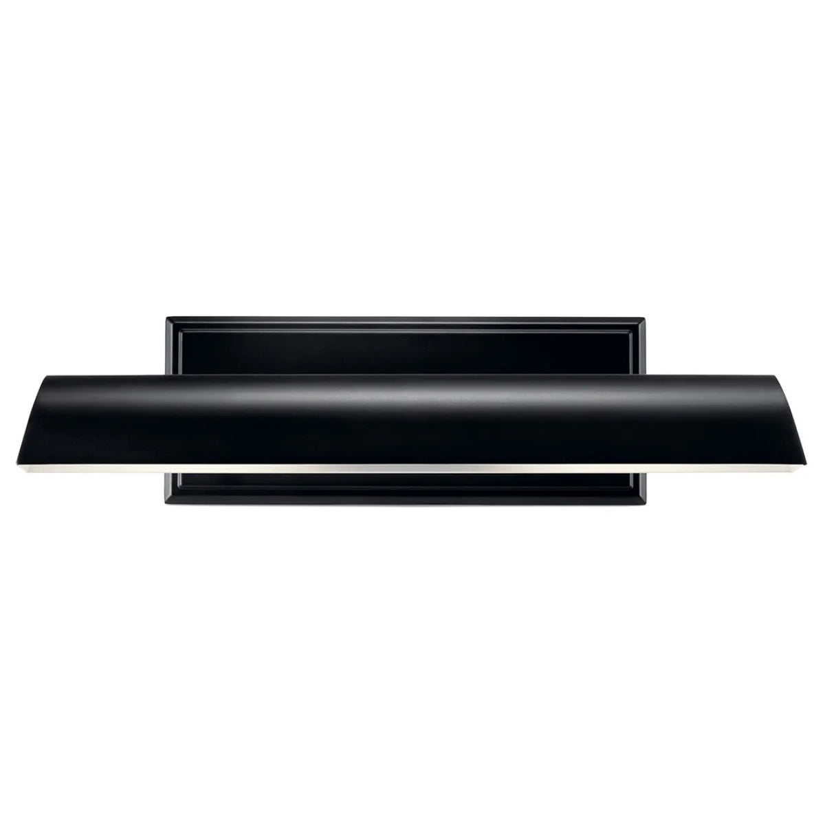 Carston 18" 2-Lights Picture Light, Black Finish - Bees Lighting