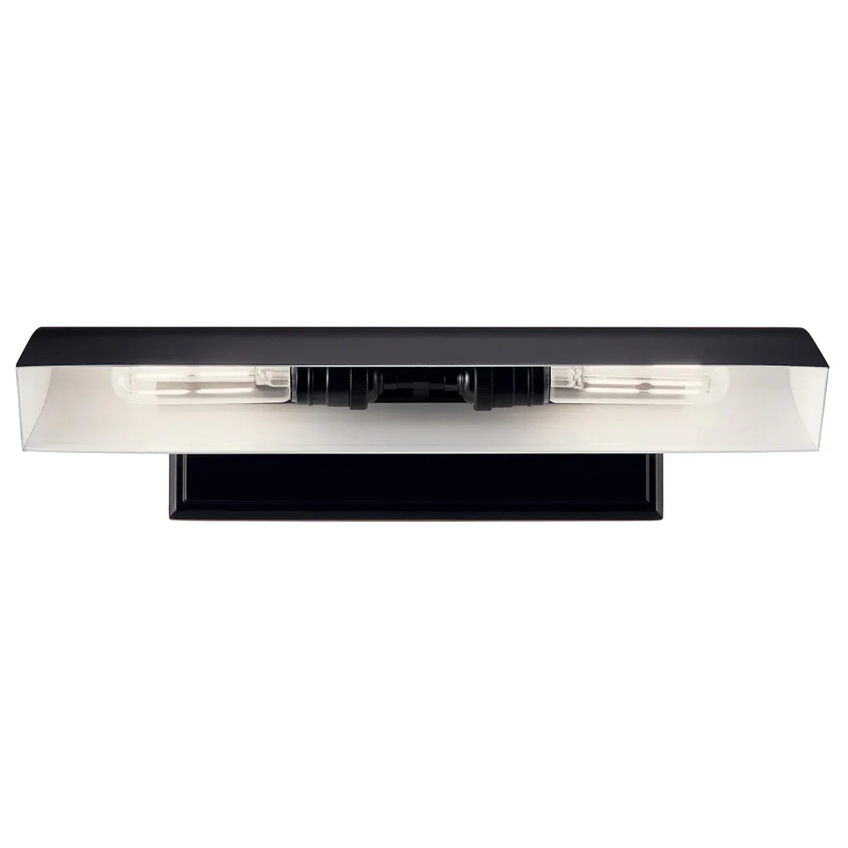 Carston 18" 2-Lights Picture Light, Black Finish - Bees Lighting