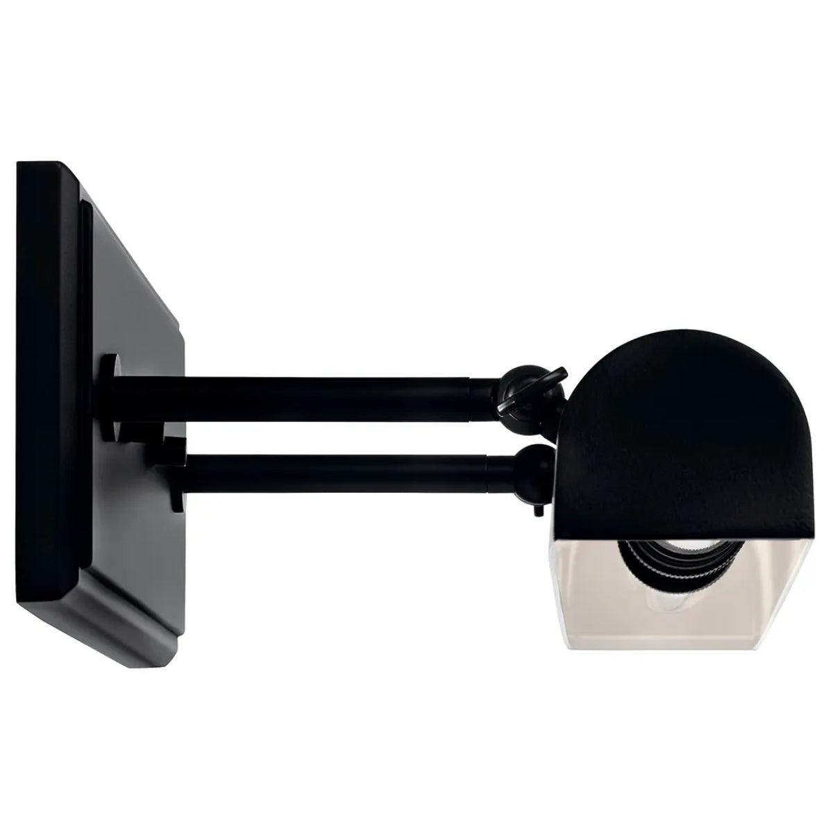 Carston 18" 2-Lights Picture Light, Black Finish - Bees Lighting