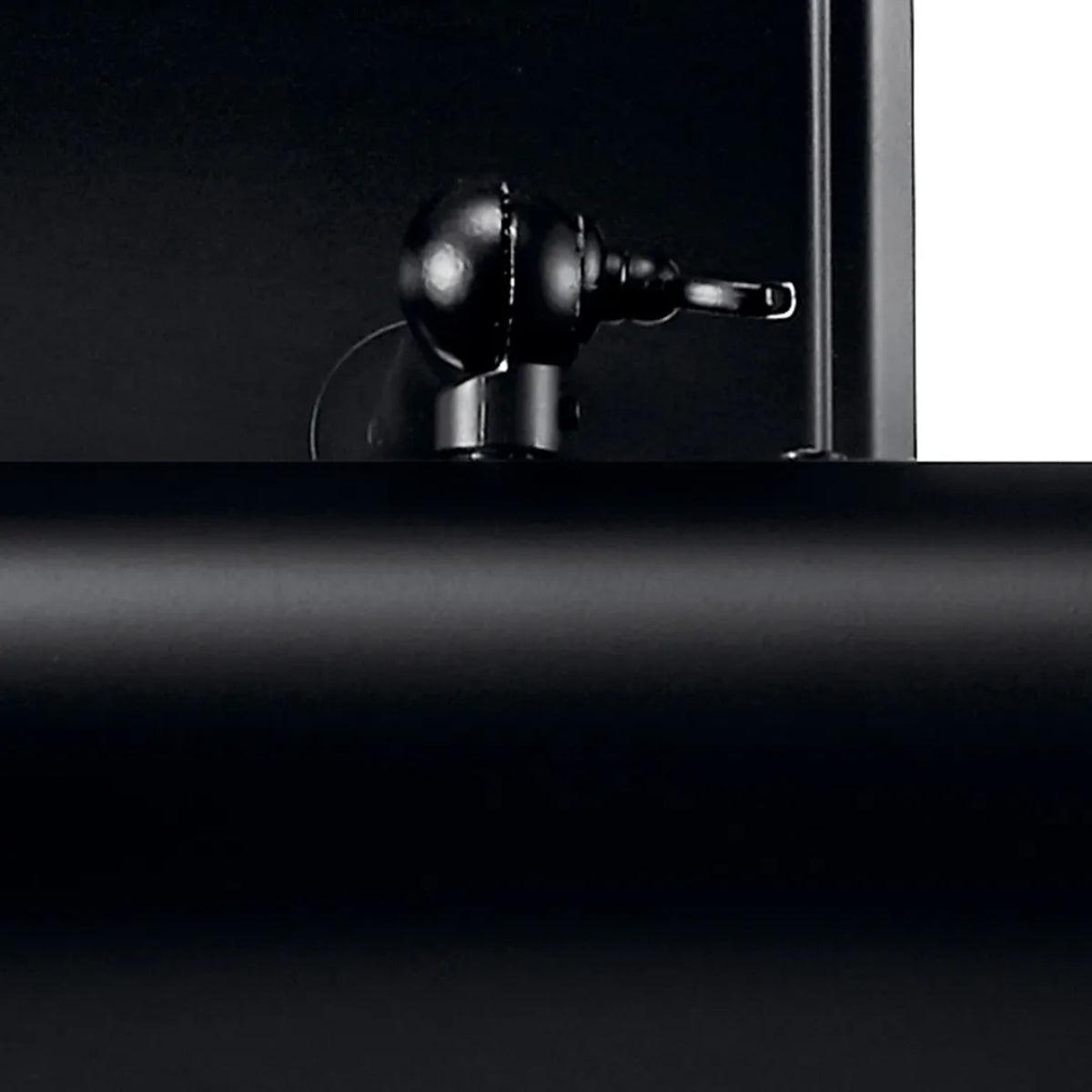 Carston 24" 2-Lights Picture Light, Black Finish - Bees Lighting