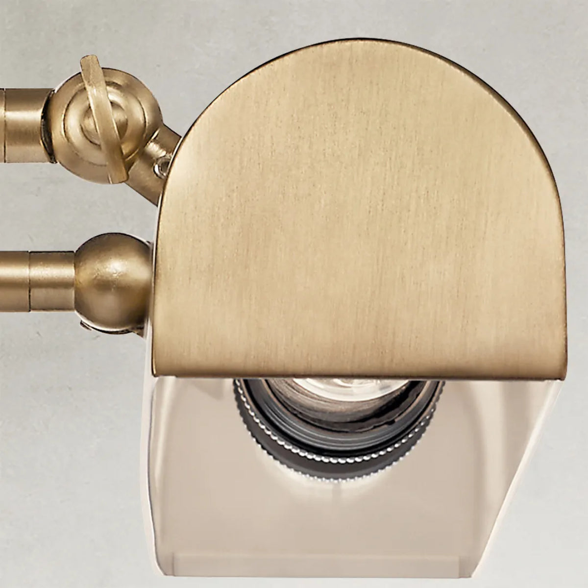 Carston 24" 2-Lights Picture Light, Bronze Finish - Bees Lighting