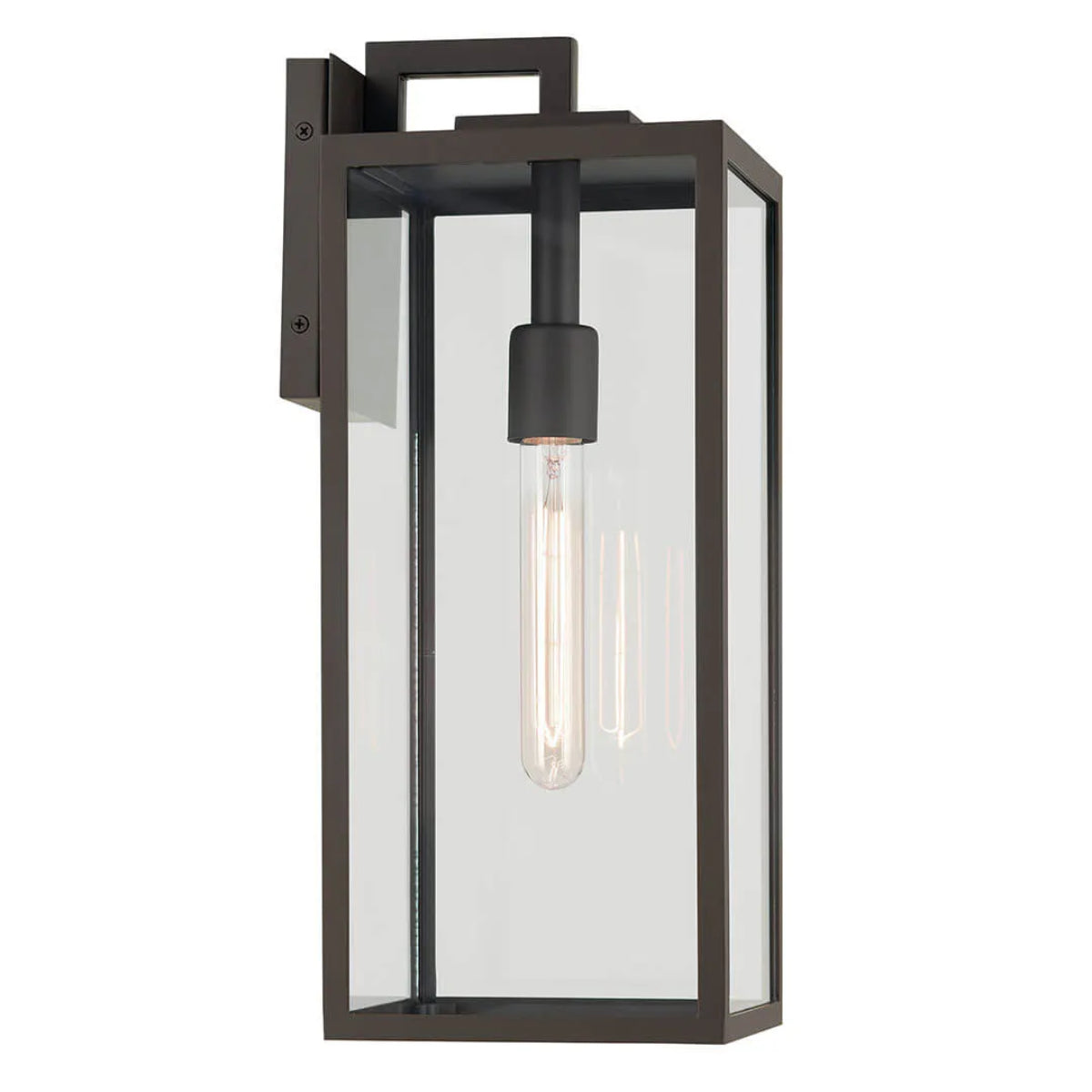 Branner 18" 1-Light Outdoor Wall Light with Clear Glass, Bronze Finish - Bees Lighting