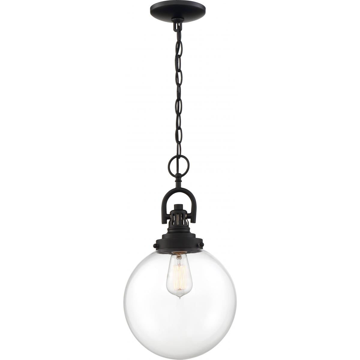 Skyloft 10 in. 1 Light Pendant Light, Clear Glass