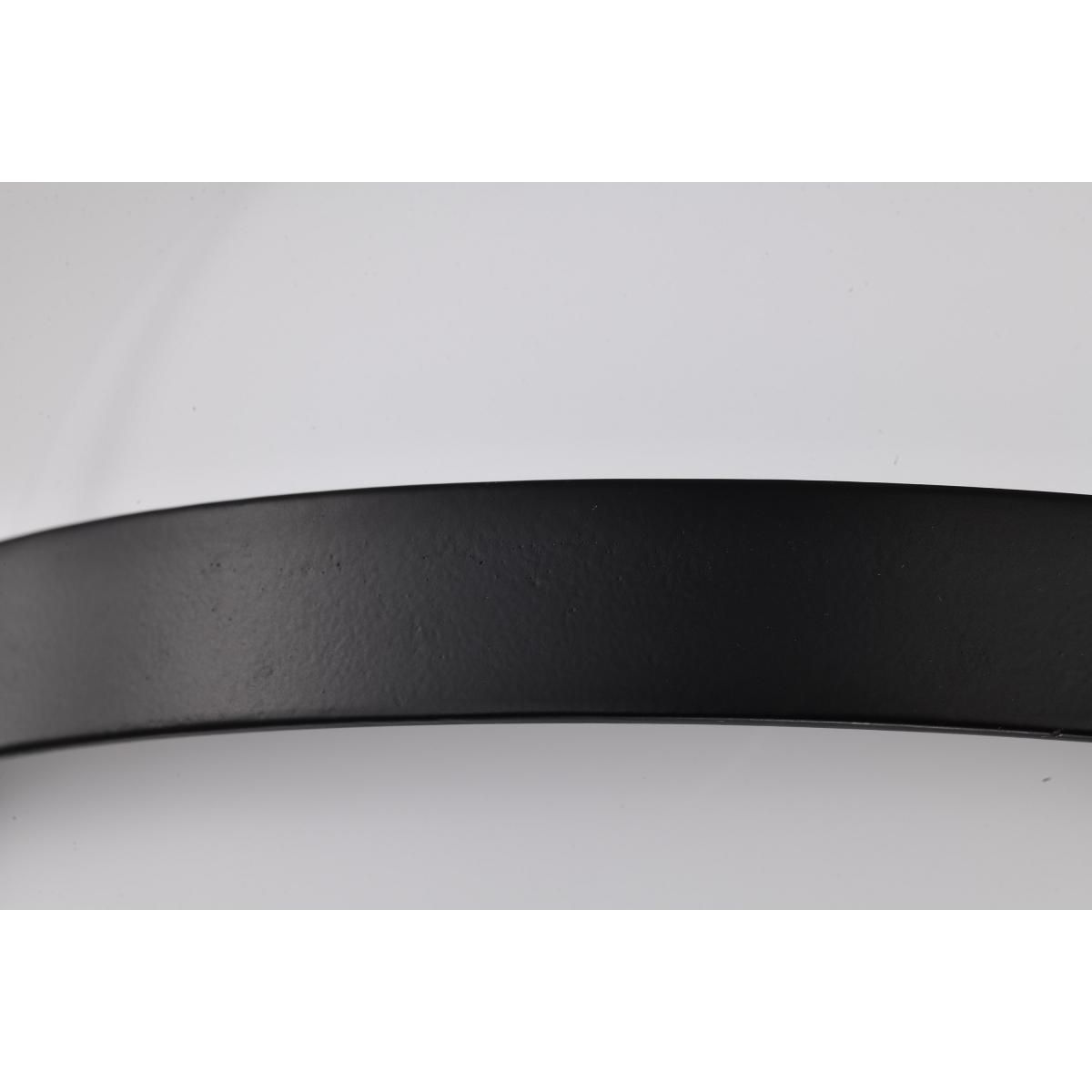 Lakeshore 10 in. Flush Mount Light Matte Black Finish - Bees Lighting