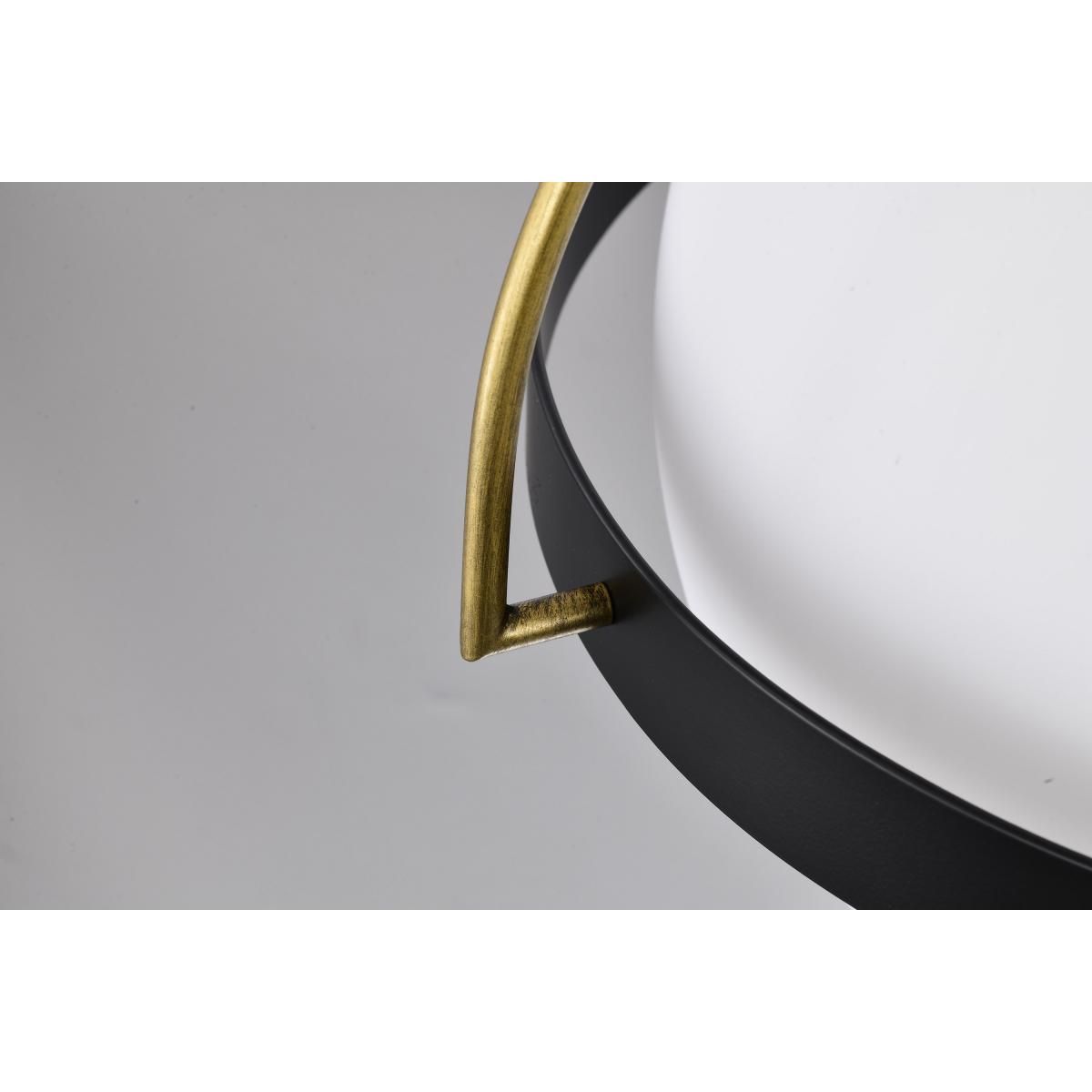 Lakeshore 13 in. Pendant Light Matte Black Finish - Bees Lighting