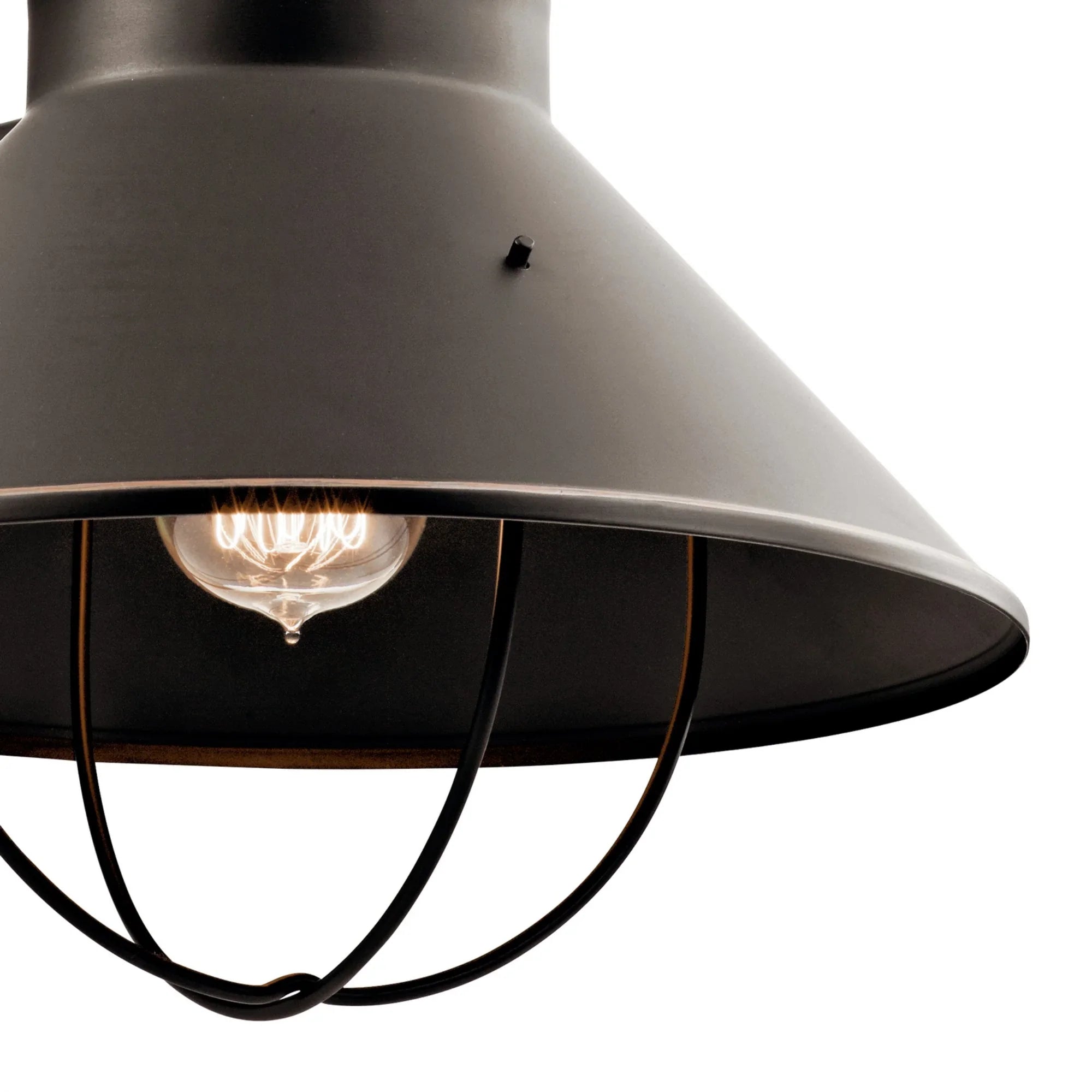 Seaside 17" Outdoor Wall Light, Olde Bronze Finish - Bees Lighting