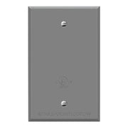 1-Gang Weatherproof Metallic Blank Wall Plate, Gray - Bees Lighting