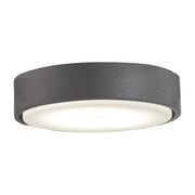 7 In. Xtreme H2O Ceiling Fan Light Kit - Bees Lighting