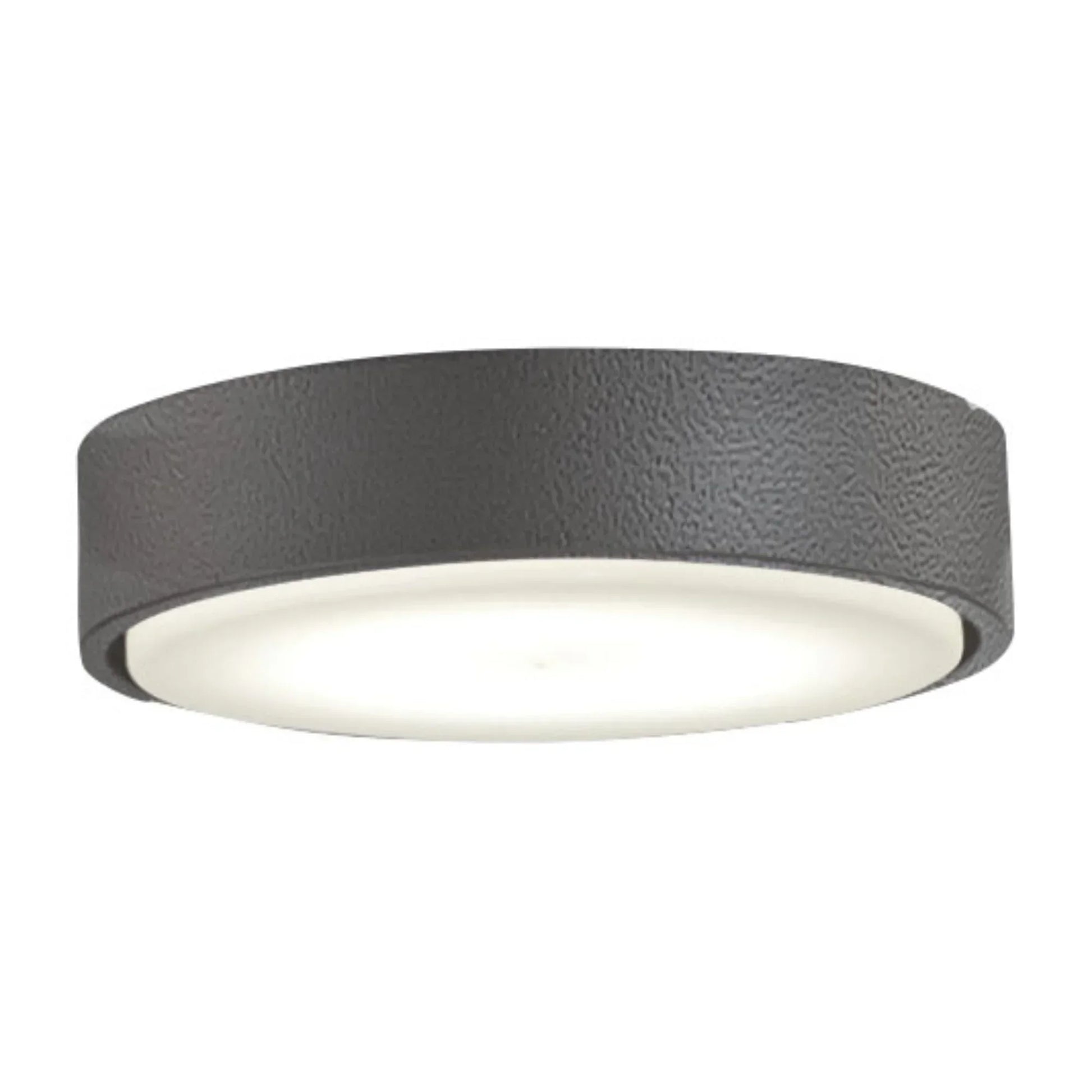 7 In. Xtreme H2O Ceiling Fan Light Kit - Bees Lighting