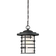 Lansing 17" Hanging Lantern, Textured Black Finish - Bees Lighting