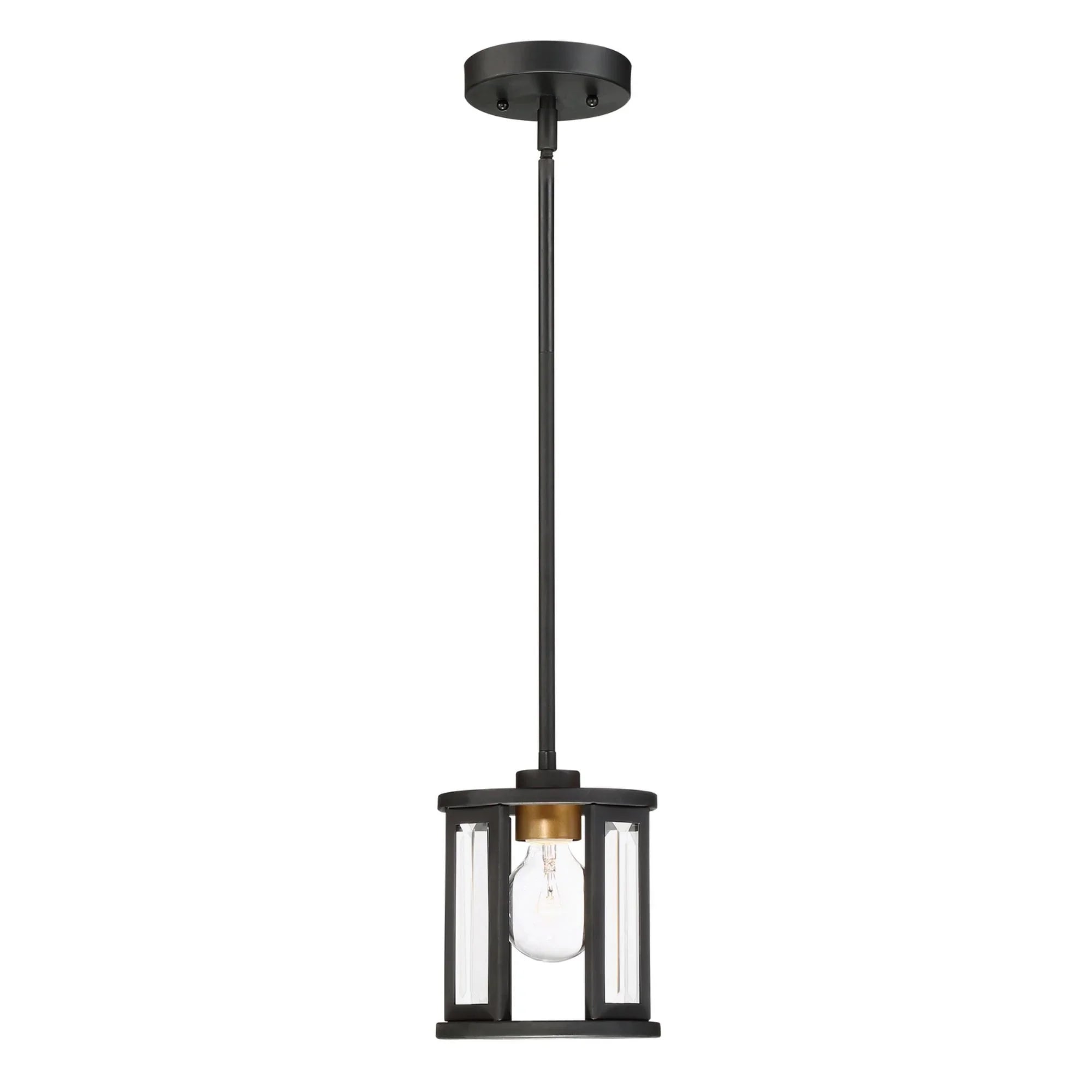 Payne 7" Mini Pendant, Black Finish - Bees Lighting
