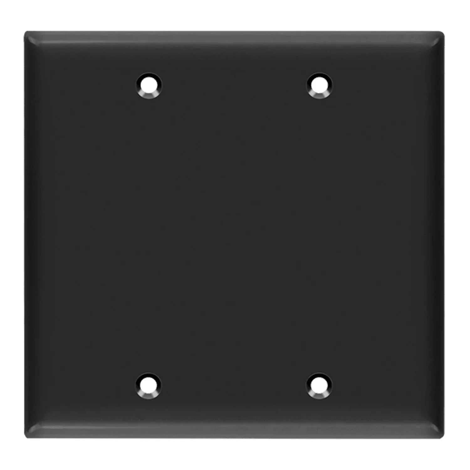 2-Gang Blank Wall Plate, Black - Bees Lighting