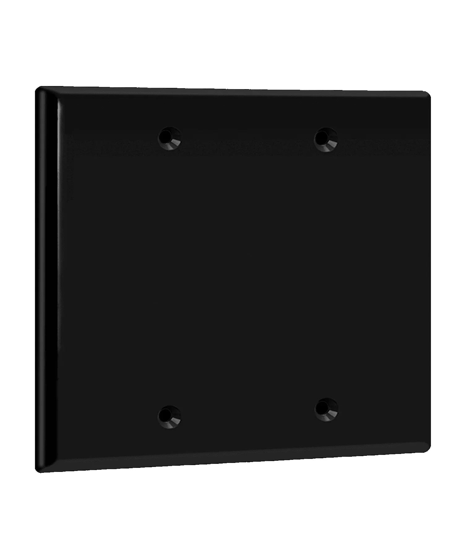 2-Gang Blank Wall Plate, Black - Bees Lighting