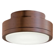 7 In. Rudolph Ceiling Fan Light Kit - Bees Lighting