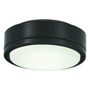 7 In. Rudolph Ceiling Fan Light Kit - Bees Lighting