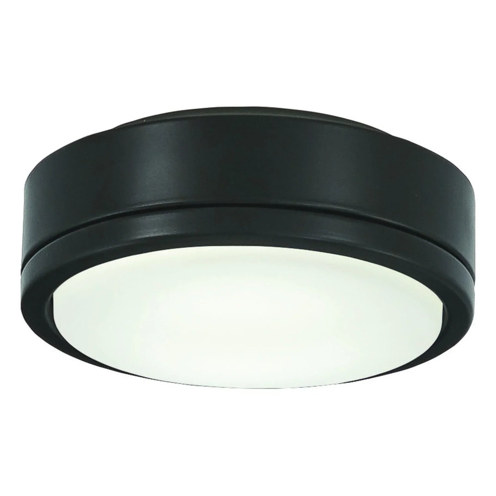 7 In. Rudolph Ceiling Fan Light Kit - Bees Lighting