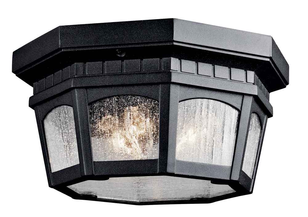 Courtyard 12" outdoor flush mount black finish - Bees Lighting