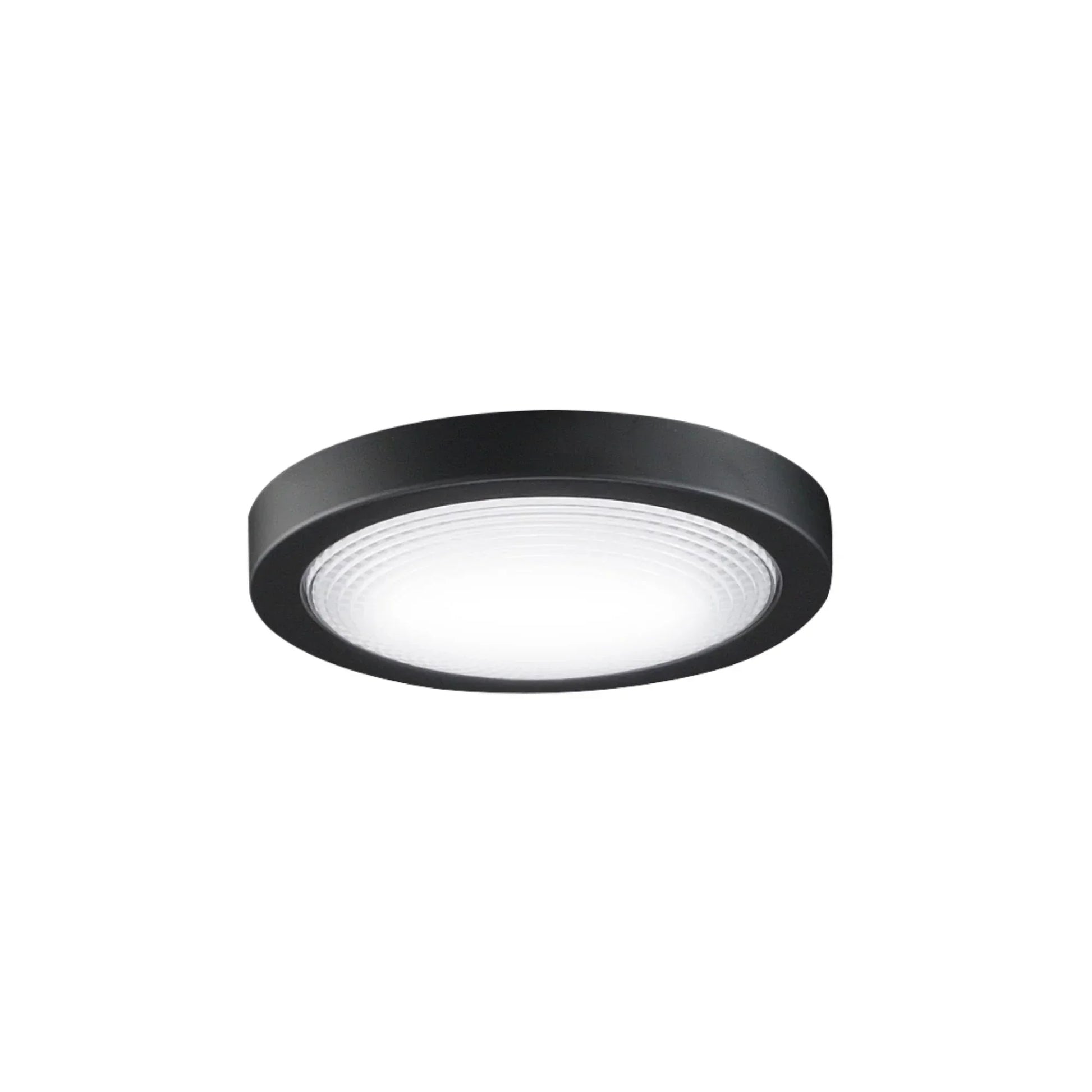 Fanimation Spitfire Ceiling Fan LED Light Kit - Bees Lighting