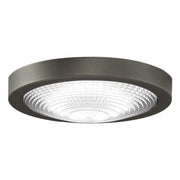 Fanimation Spitfire Ceiling Fan LED Light Kit - Bees Lighting