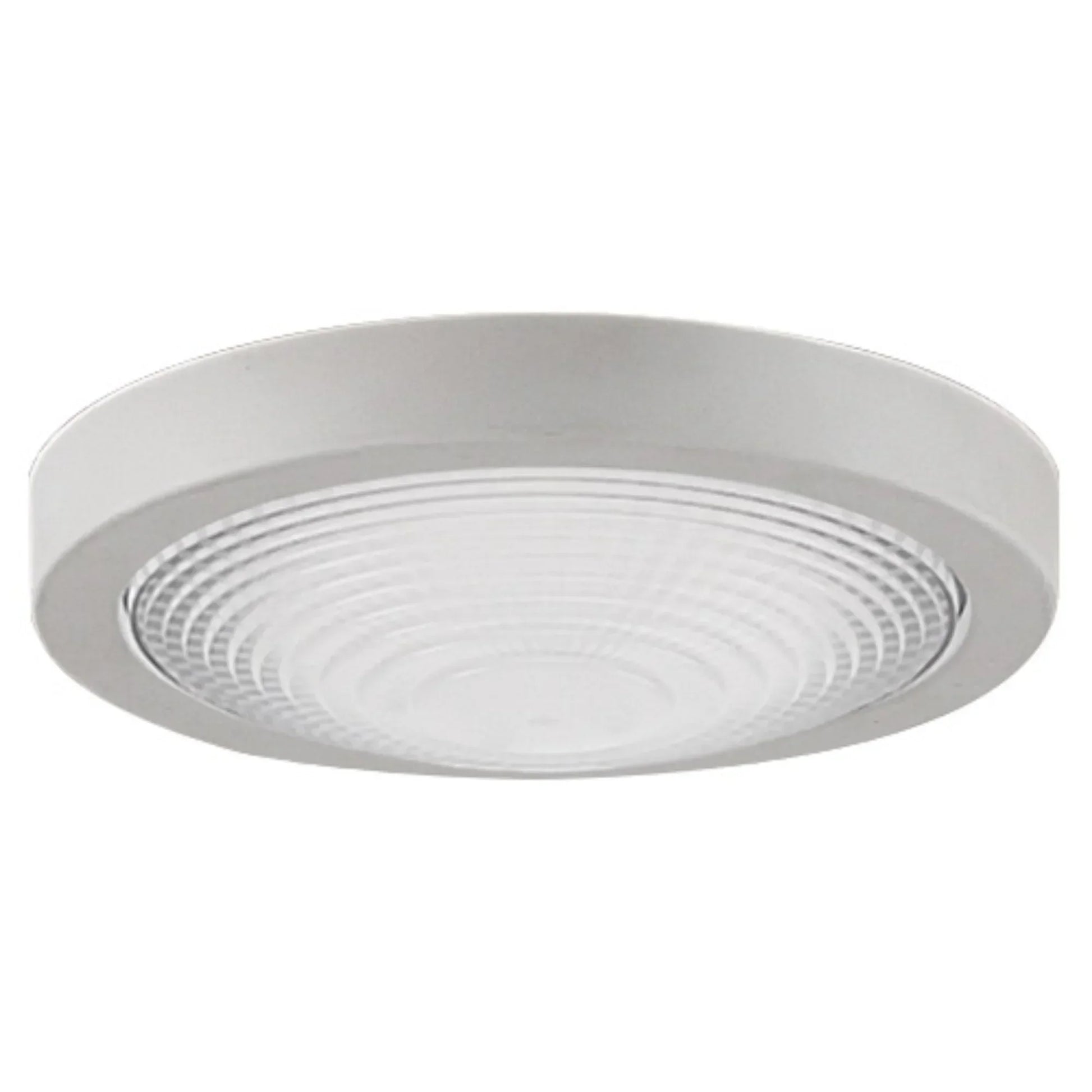 Fanimation Spitfire Ceiling Fan LED Light Kit - Bees Lighting