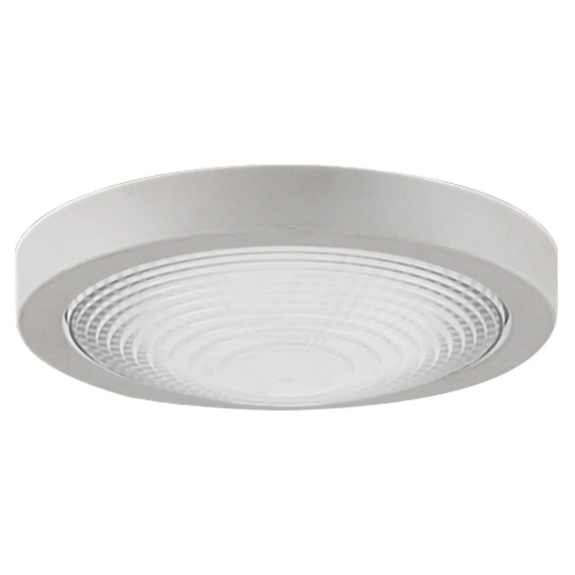 Fanimation Spitfire Ceiling Fan LED Light Kit - Bees Lighting