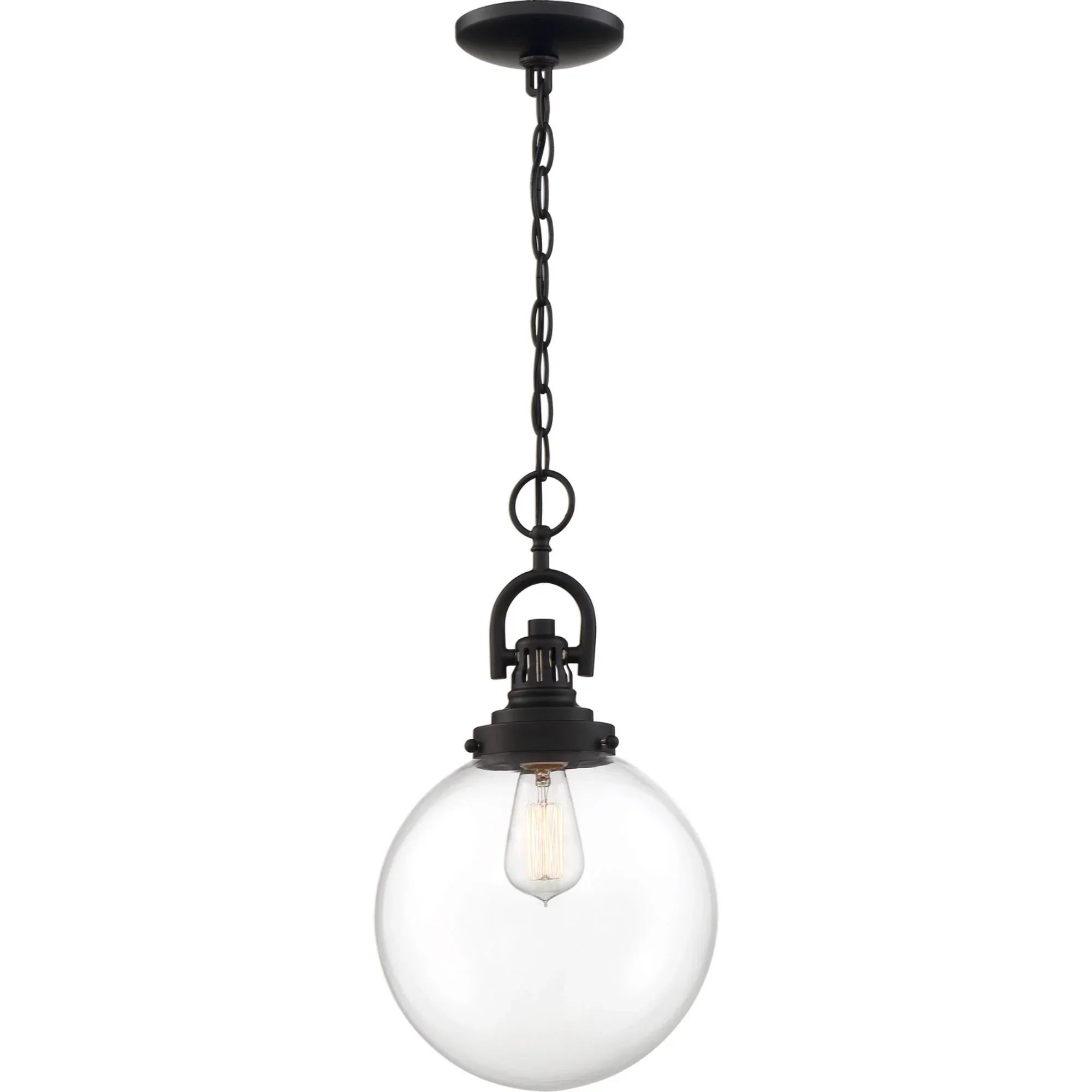 Skyloft 10 in. 1 Light Pendant Light, Clear Glass - Bees Lighting