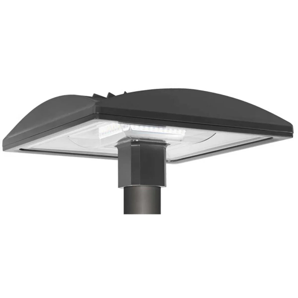 LED Post Top Light, 150 Watts, 14280 Lumens, 5000K, 120-277V - Bees Lighting