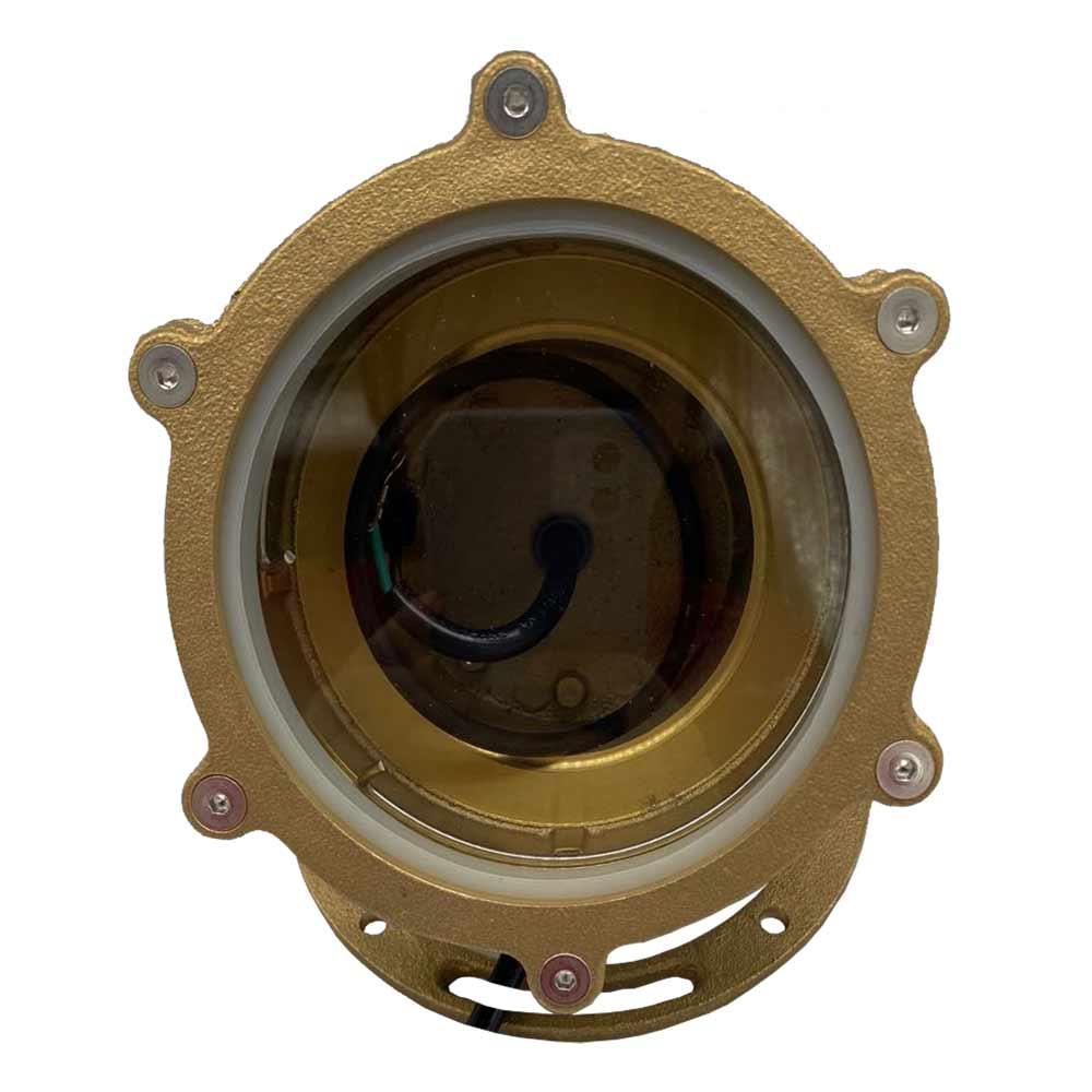 12V LED Landscape Flood/Underwater Accent Light Natural Brass - Bees Lighting