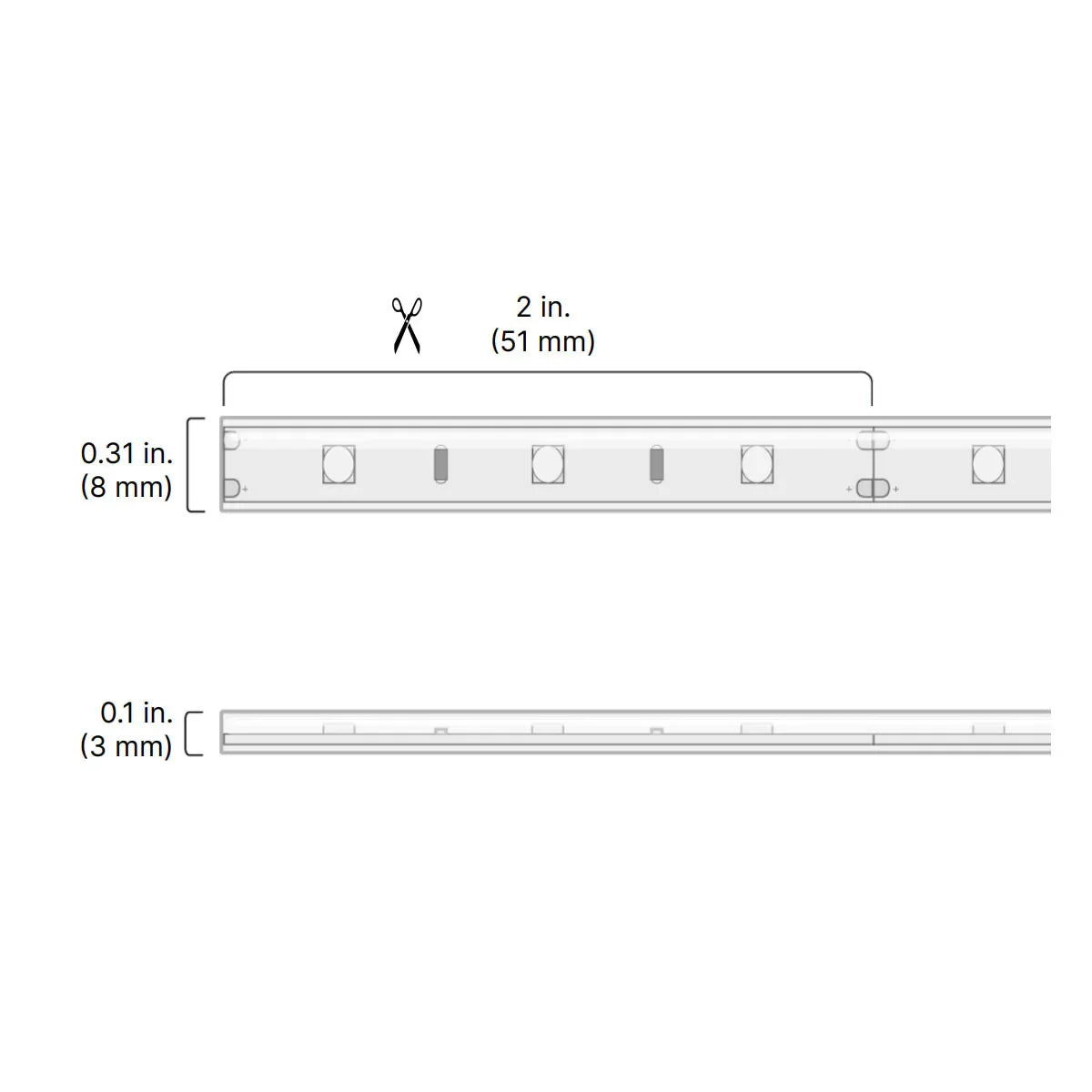 BLAZE Wet Location LED Strip Light, 16Ft Reel, 5000K, 116 Lm/Ft, 12V - Bees Lighting