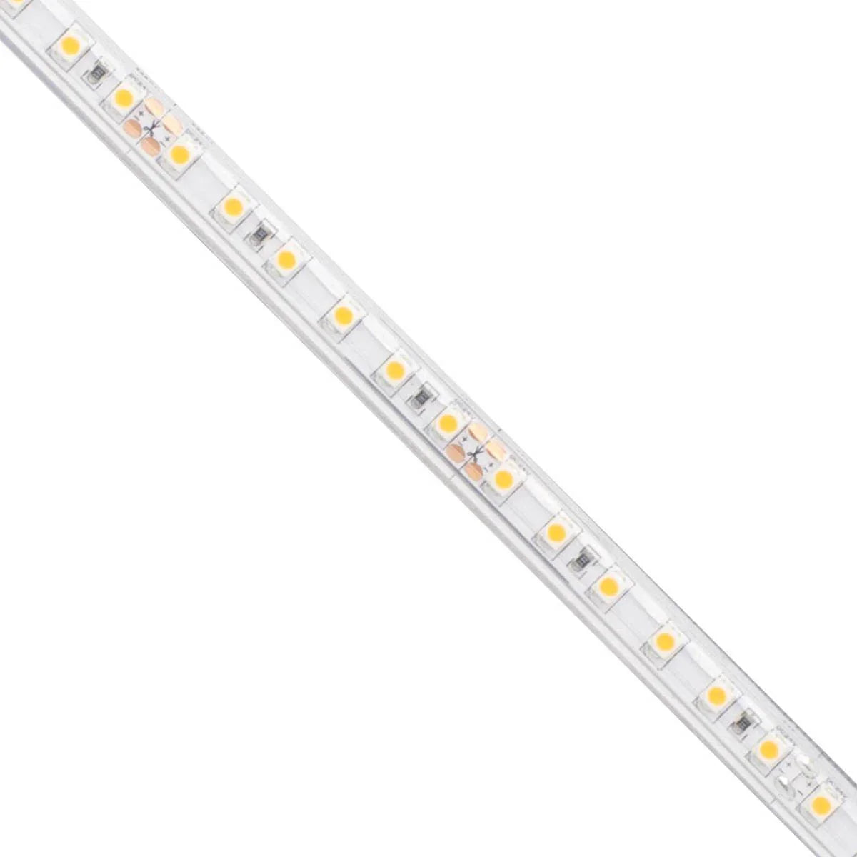 BLAZE Wet Location LED Strip Light, 100Ft Reel, 3000K, 226 Lm/Ft, 24V - Bees Lighting