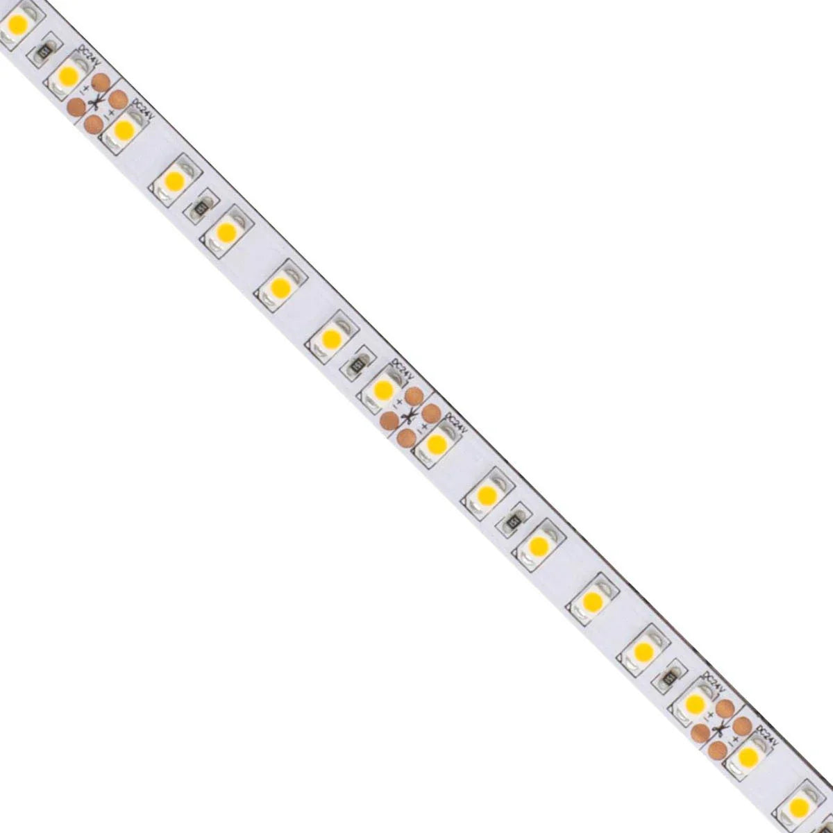 BLAZE LED Strip Light, 100Ft Reel, 5000K, 261 Lm/Ft, 24V - Bees Lighting