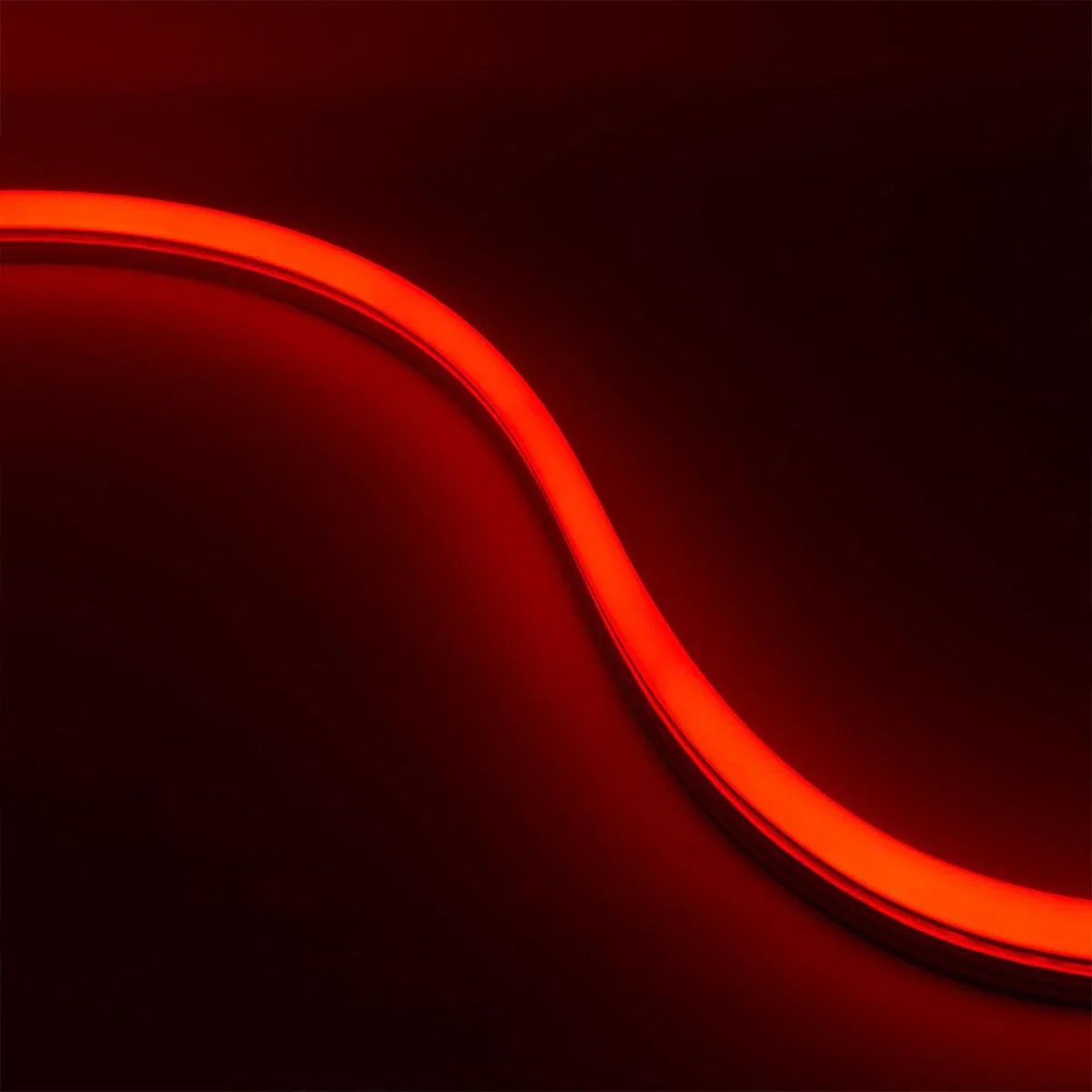 65Ft Neon Blaze Flexible LED Lighting, Red, 24V, Side Bending - Bees Lighting