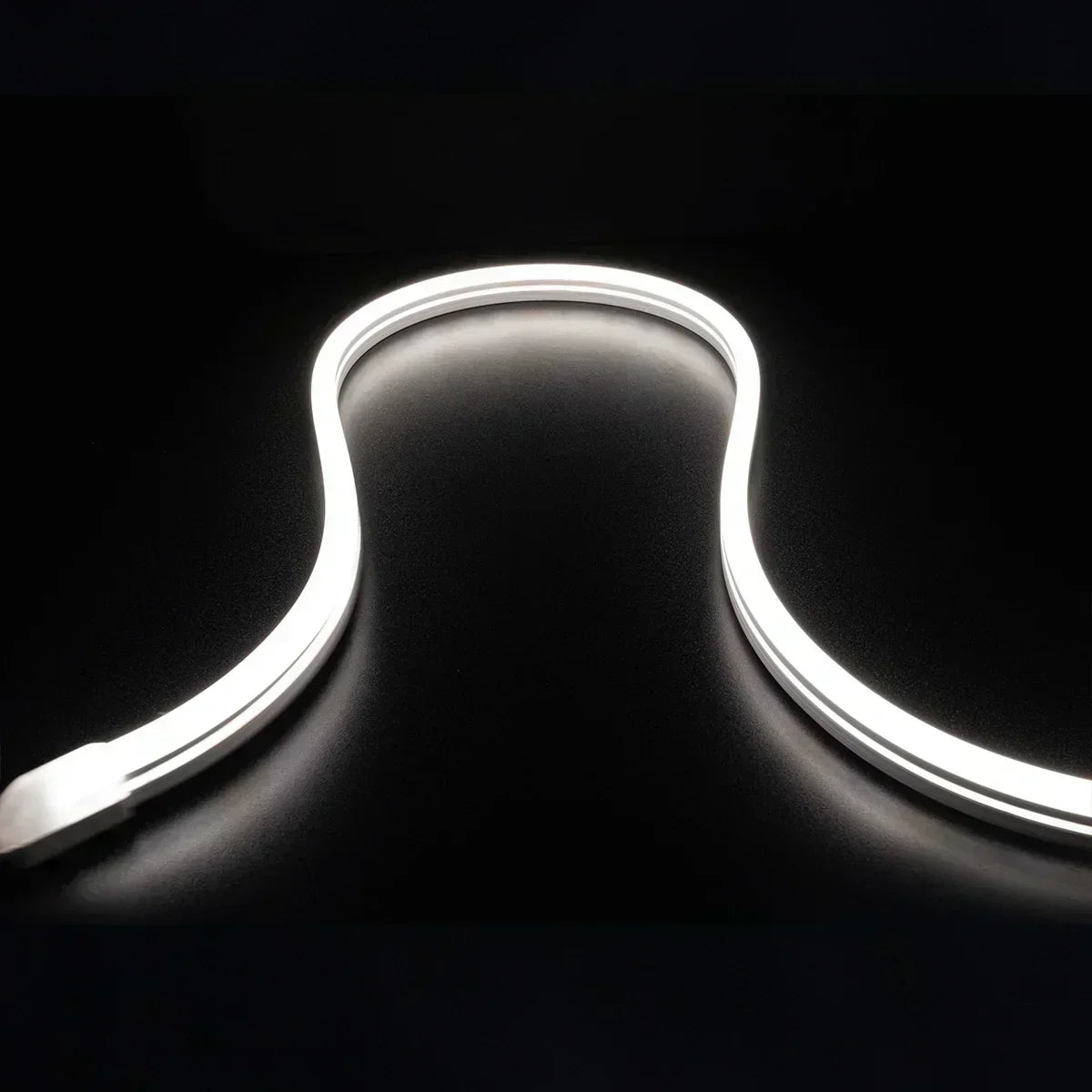 16Ft Neon Blaze Flexible LED Lighting, 6300K, 24V, Side Bending - Bees Lighting