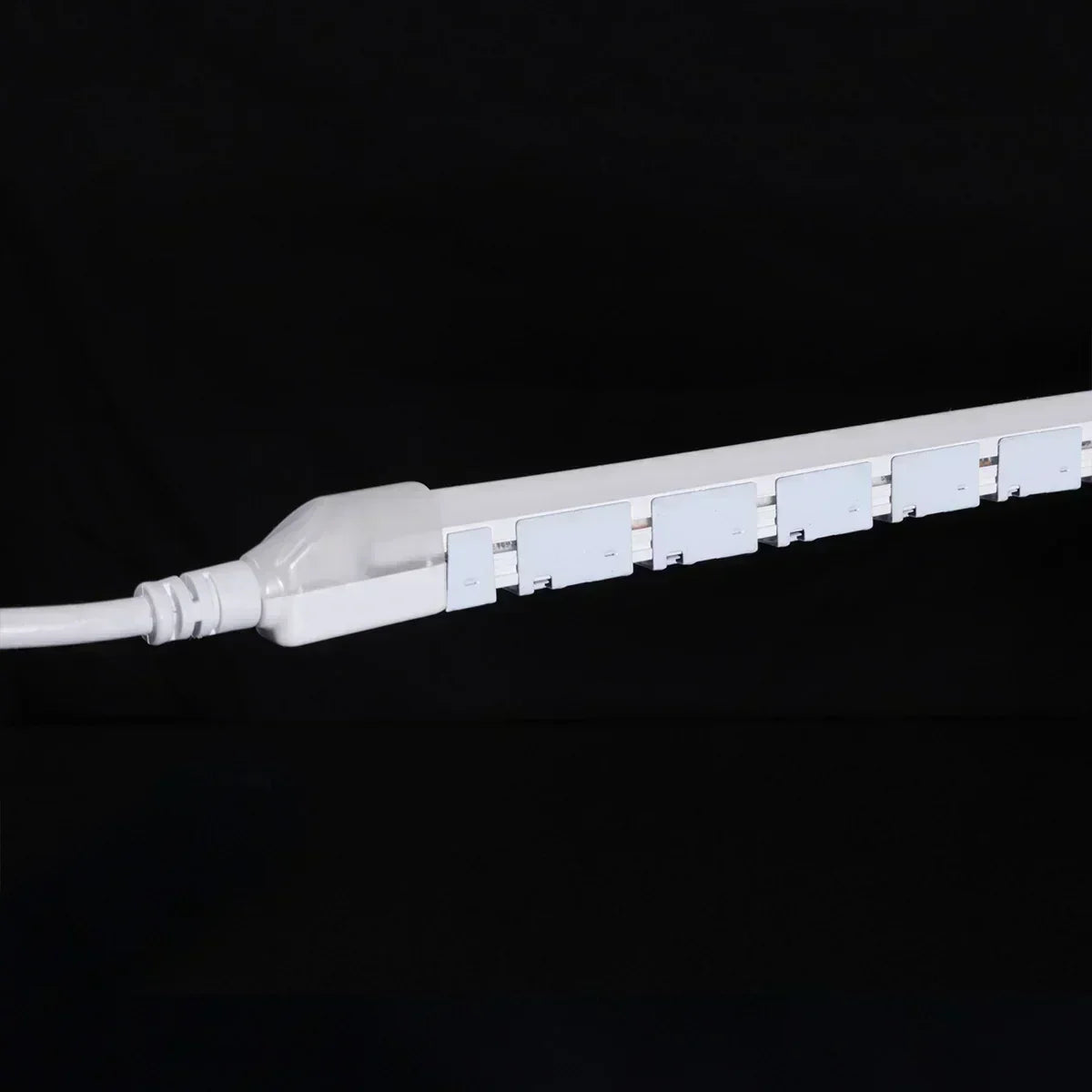 16Ft Neon Blaze Flexible LED Lighting, 6300K, 24V, Side Bending - Bees Lighting