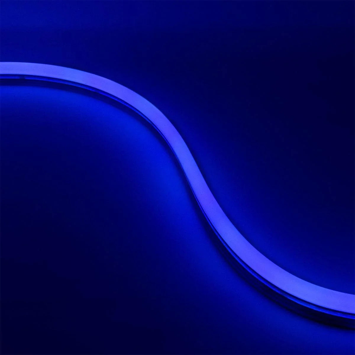 65ft Neon Blaze Flexible LED Lighting, Blue, 24V, Top Bending - Bees Lighting