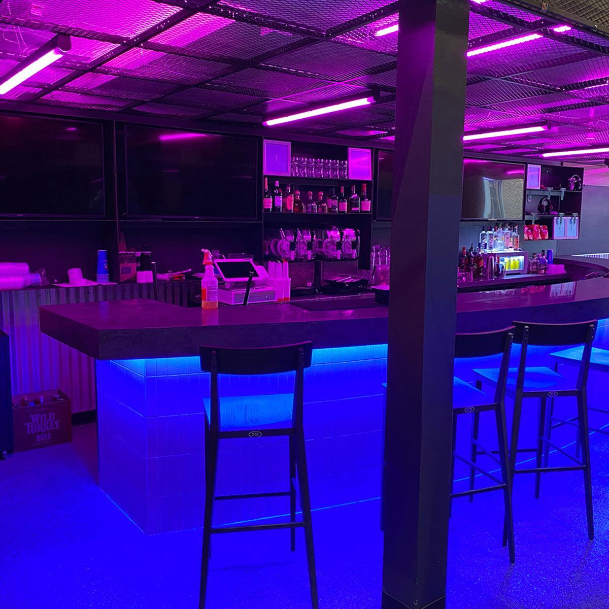 65ft Neon Blaze Flexible LED Lighting, Blue, 24V, Top Bending - Bees Lighting