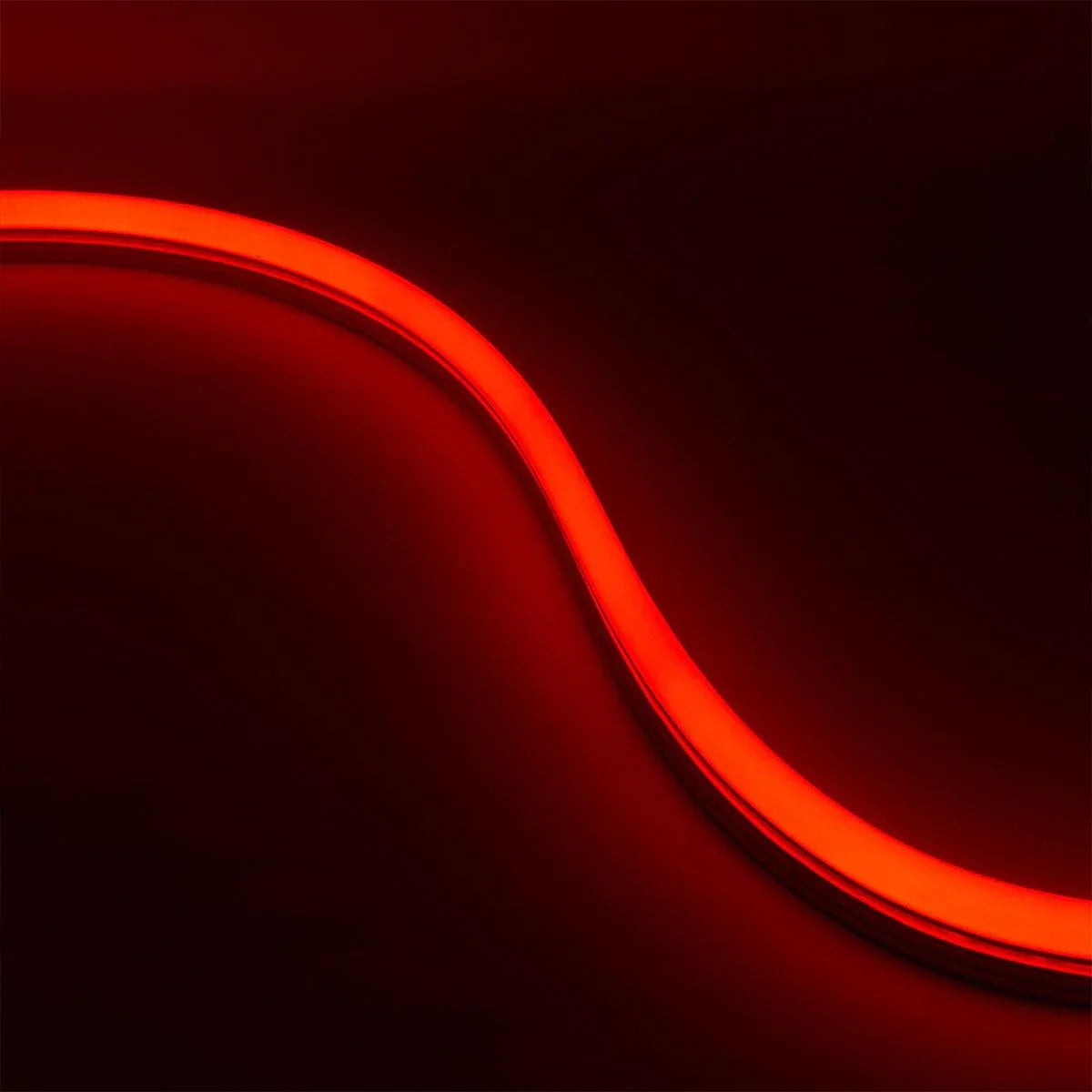 65ft Neon Blaze Flexible LED Lighting, Red, 24V, Top Bending - Bees Lighting