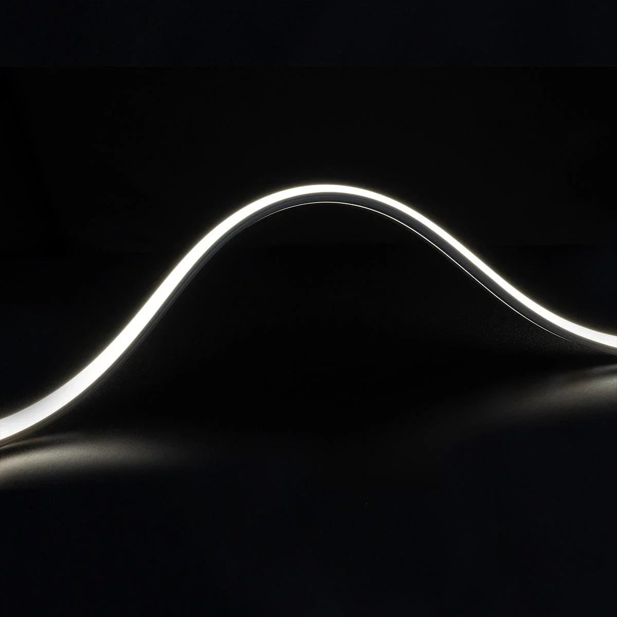 65Ft Neon Blaze Flexible LED Lighting, 3500K, 24V, Top Bending - Bees Lighting
