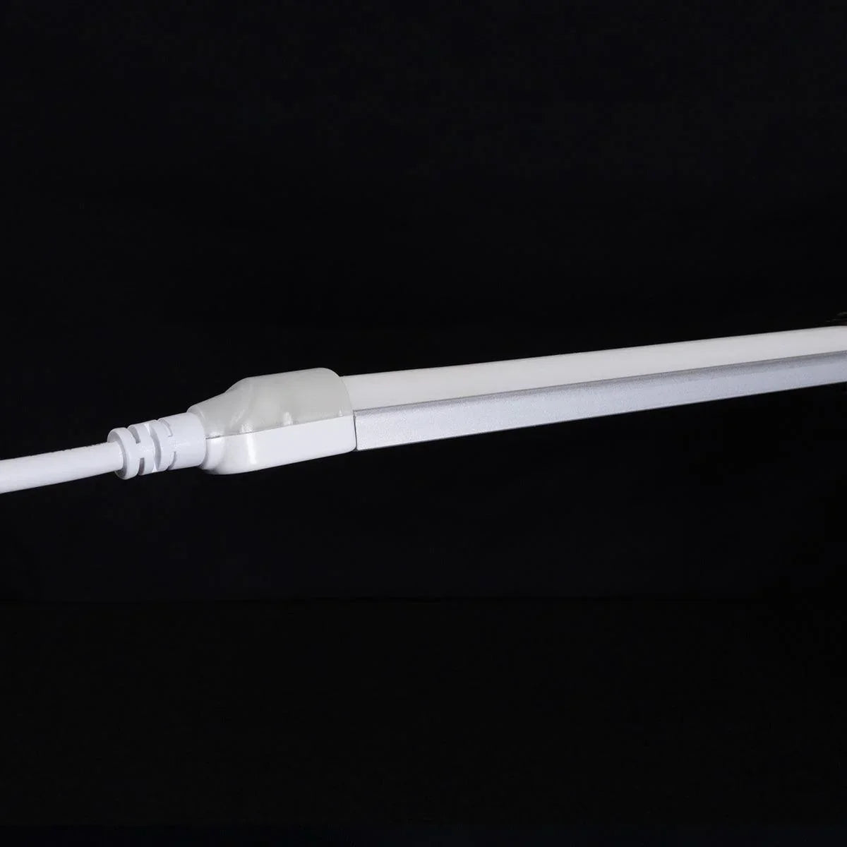 65Ft Neon Blaze Flexible LED Lighting, 6300K, 24V, Top Bending - Bees Lighting