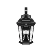 15 in. LED Outdoor Wall Lantern 1200 Lumens 3000K Bronze finish - Bees Lighting