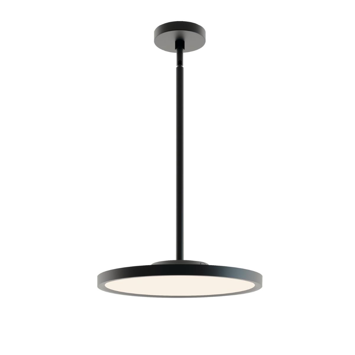 EGRP 16 In. LED Pendant Light 120-277V Black Finish - Bees Lighting