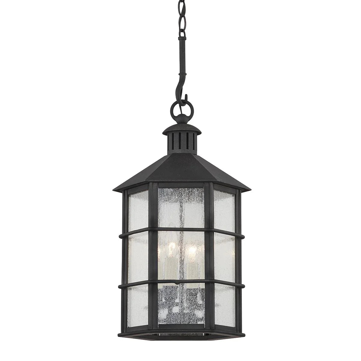 LAKE COUNTY 26 in. 4 Lights Outdoor Hanging Lantern iron finish - Bees Lighting